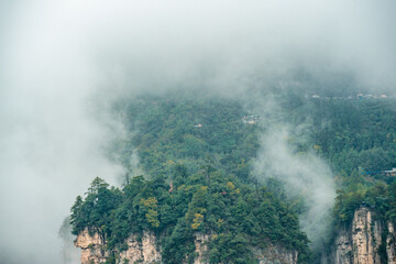 Mountains and forests shimmering in the mist at Wulingyuan , Zhangjiajie national park, Hunan Province, China