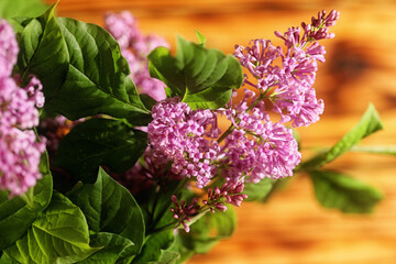 lilac flowers on wood texture