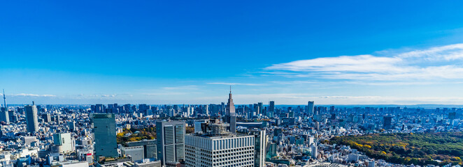 Urban landscape of Tokyo, Japan, Panorama