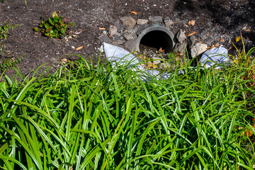 Stormwater retention area with drainage pipe, dirt, plants, and foliage on a sunny day
