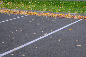 Fallen colorful fall leaves piled against curb in a parking lot
 - obrazy, fototapety, plakaty