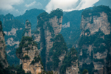 the mountain and forest in foggy at at Wulingyuan. Wulingyuan Scenic and Historic Interest Area which was designated a UNESCO World Heritage Site as well as an AAA scenic area in china.