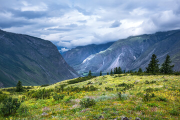 Fototapeta na wymiar Mountain landscape. Ulagansky district, Altai Republic, Russia