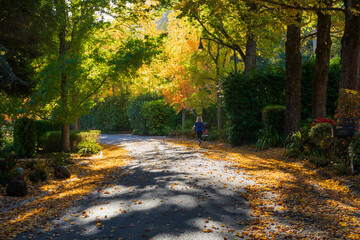 Fall Color in California in Late November
