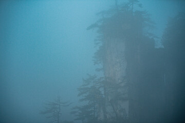 the mountain and forest in foggy at at Wulingyuan. Wulingyuan Scenic and Historic Interest Area which was designated a UNESCO World Heritage Site as well as an AAA scenic area in china.