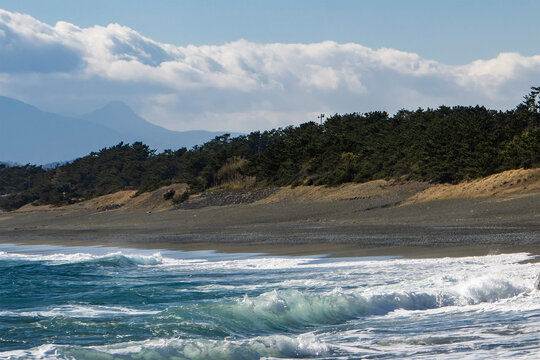 防砂林 の画像 345 件の Stock 写真 ベクターおよびビデオ Adobe Stock