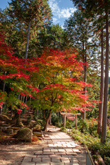 Fototapeta na wymiar 美しい京都市の紅葉
