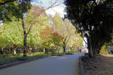 遊歩道