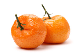 tangerine orange on white background 