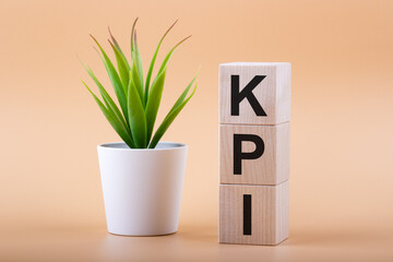 Text KPI on wood blocks next to houseplant. Key performance indicator, KPI concept.