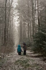 Small children walking under first snow. High quality photo. Magic forest. Brothers are best friends.