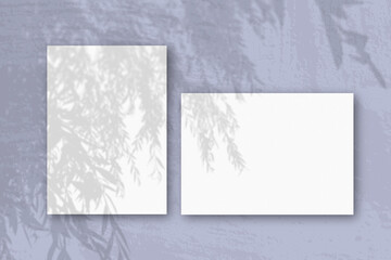 Several horizontal and vertical sheets of white textured paper against a blue wall background. Mockup with an overlay of plant shadows. Natural light casts shadows from an exotic plant