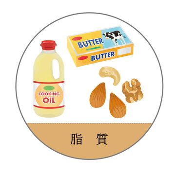 98 Best 五大栄養素 Images Stock Photos Vectors Adobe Stock