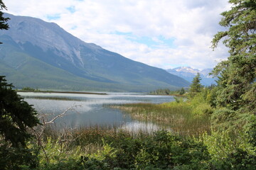 Fototapeta na wymiar July On The Lake, Jasper National Park, Alberta