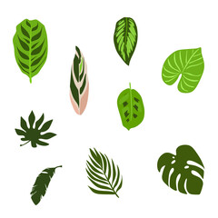 Indoor plants clipart-large Botanical clipart-interior clipart-furniture svg-plants vector-stickers-greenery print-elements for planner