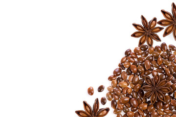 Chinese star anise fruits isolated on a white background.