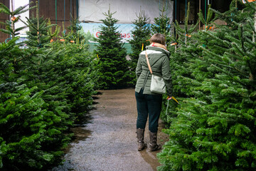 A women who is viewing christmas trees to buy