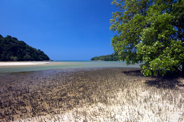 Layan Beach, Phuket, Thailand