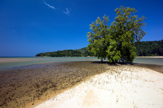Layan Beach, Phuket, Thailand