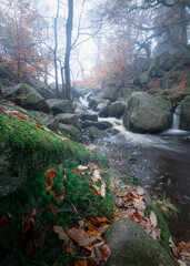 Foggy morning by the river. 