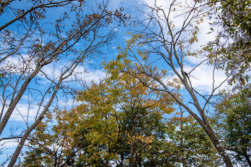 Obraz premium Beautiful landscape of Tianmen mountain national park, Hunan province, Zhangjiajie The Heaven Gate of Tianmen Shan, mountain in china
