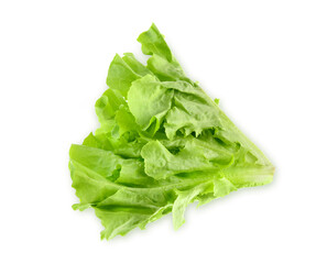 Top view of Green oak lettuce isolated on white background.