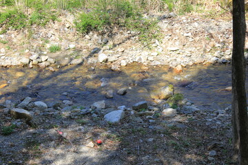 半分ほど木の影が覆っている浅い川