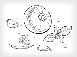 Line art illustration set of Asian cuisine spices in kind.