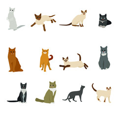 Fototapeta na wymiar Cat clip art set-hand drawn cat breeds-digital SVG vector-cute animals Pets-business clip art collection-kitten-stickers-living room clipart