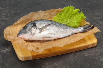 Raw Dorada fish  for cooking