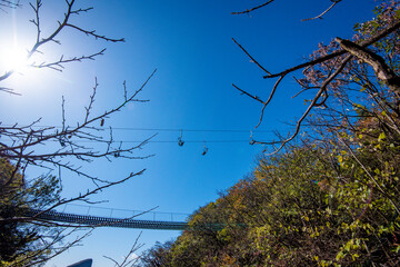 Beautiful landscape of Tianmen mountain national park, Hunan province, Zhangjiajie, China