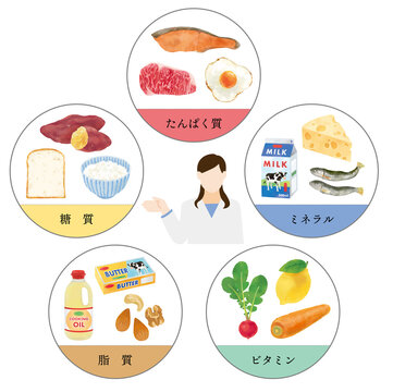 五大栄養素 のストック写真 ロイヤリティフリーの画像 ベクター イラスト Adobe Stock 五大栄養素 のストック写真 ロイヤリティフリーの画像 ベクター イラスト Adobe Stock