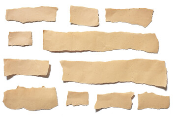 collection real brown paper torn or ripped pieces of paper in white background
