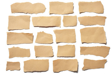 Fototapeta premium collection real brown paper torn or ripped pieces of paper in white background 