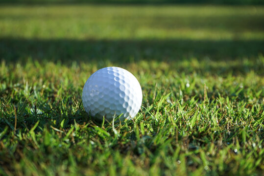 Golf ball on green grass in beautiful golf course in Thailand