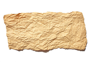 Fototapeta na wymiar collection real brown paper torn or ripped pieces of paper in white background 
