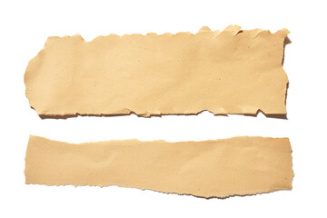 collection real brown paper torn or ripped pieces of paper in white background
