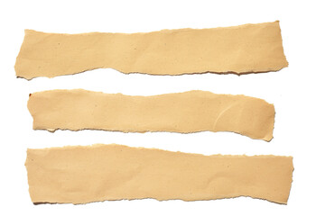 collection real brown paper torn or ripped pieces of paper in white background
