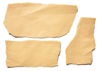 collection real brown paper torn or ripped pieces of paper in white background
