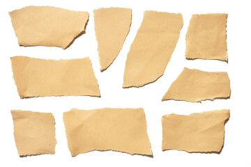 collection real brown paper torn or ripped pieces of paper in white background
