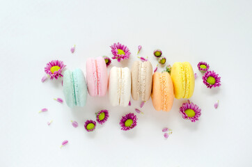 Group of soft pastel green, pink, white, brown, orange, and yellow macaron with little purple flower on white background