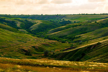 Slopes of hills summer landscape. Valley on the hillside with green and feather grass