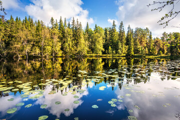 Landscape overlooking a beautiful northern lake with reflections on Anzer Island (Solovetsky Islands)