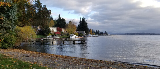 Shoreline near Holmes Point at Washington Lake in Kirkland