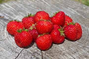 Ripe strawberries on an old stump close up