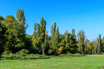 Fototapeta na wymiar Landscape with large green trees and grass in Herastrau Park in Bucharest, Romania, in a sunny autumn day.