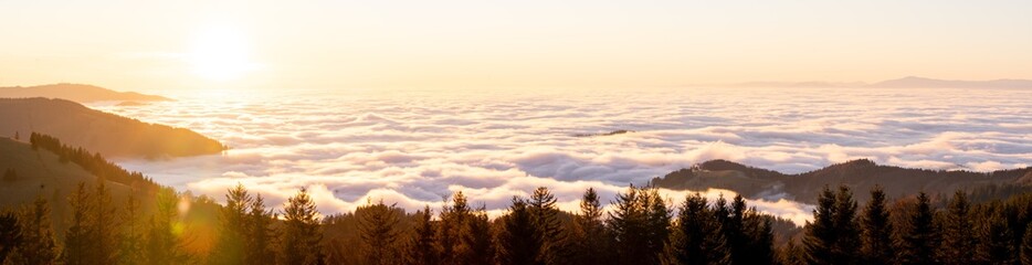 Obraz premium Sonnenuntergang Schwarzwald Gipfel mit Wolkendecke Panorama