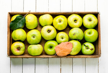 Harvest green apples