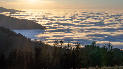 Schauinsland Wolkendecke mit Bergspitzen Schwarzwald