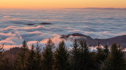 Schauinsland Wolkendecke mit freien Gipfeln Schwarzwald